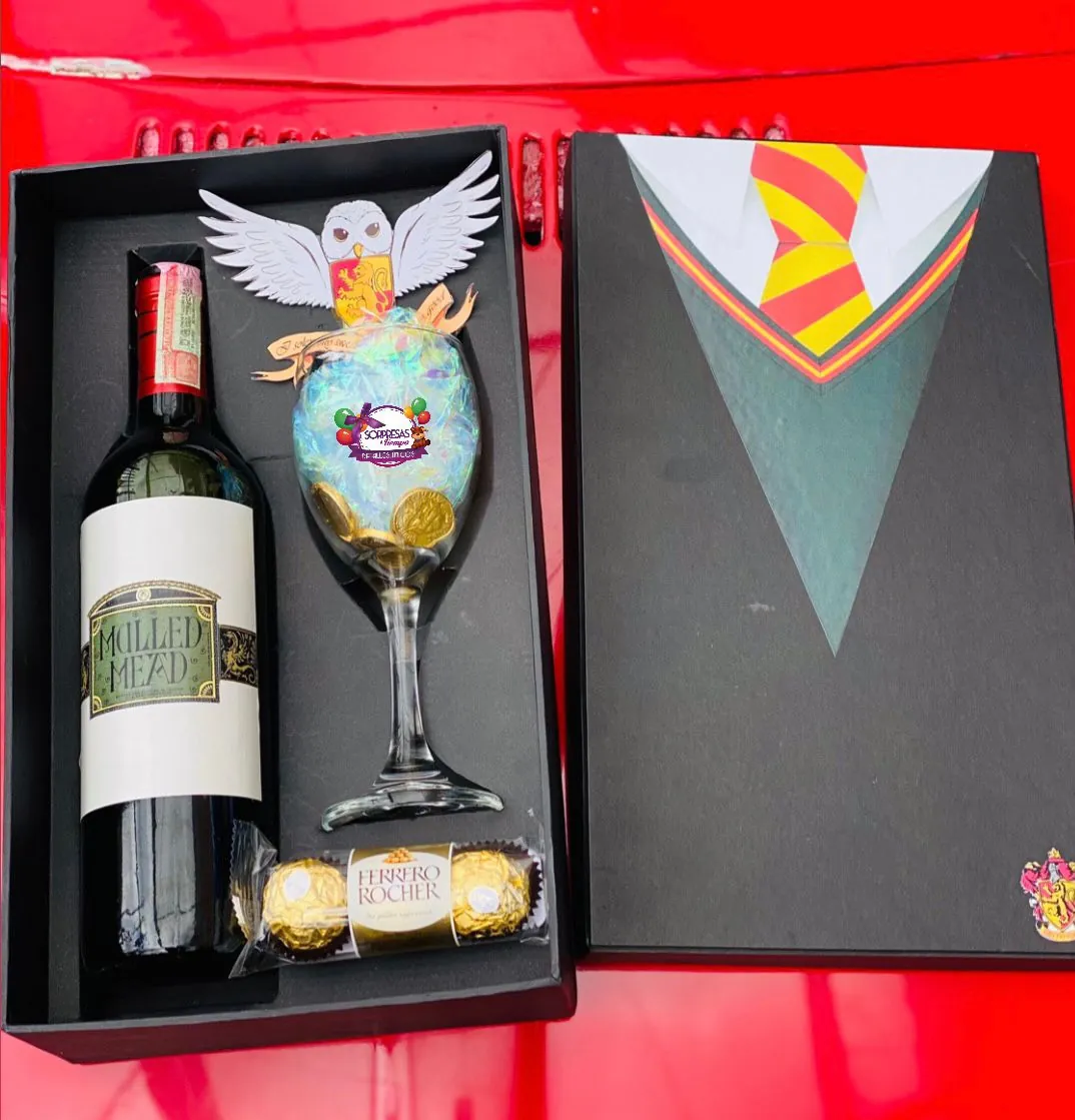 Exclusive Box Harry Potter