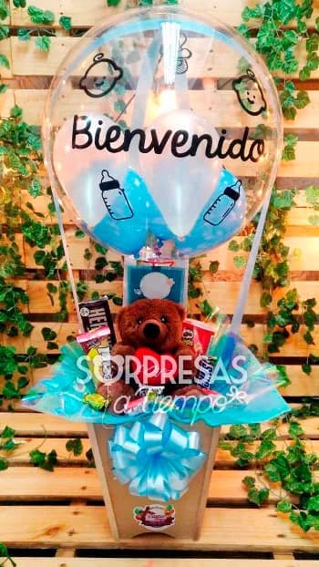 Balloon Welcome (B029)