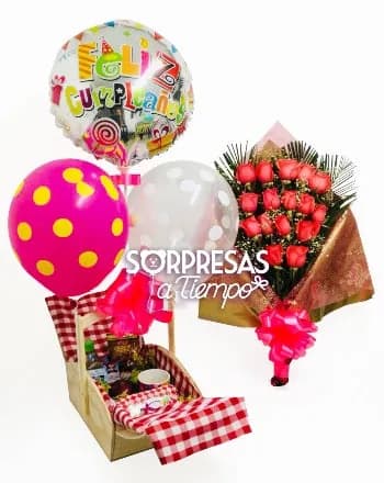 Picnic bella mujer (D006-5)