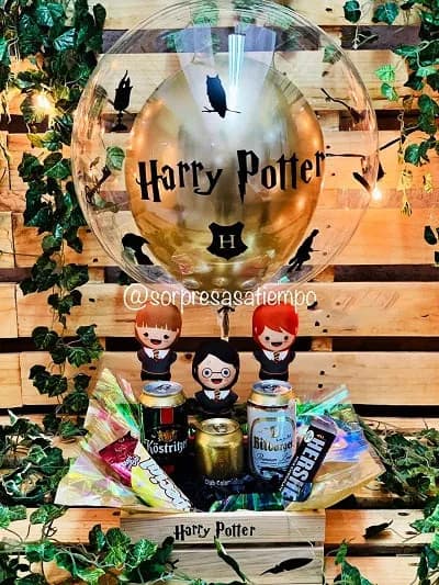 Ancheta Harry Potter (A148)