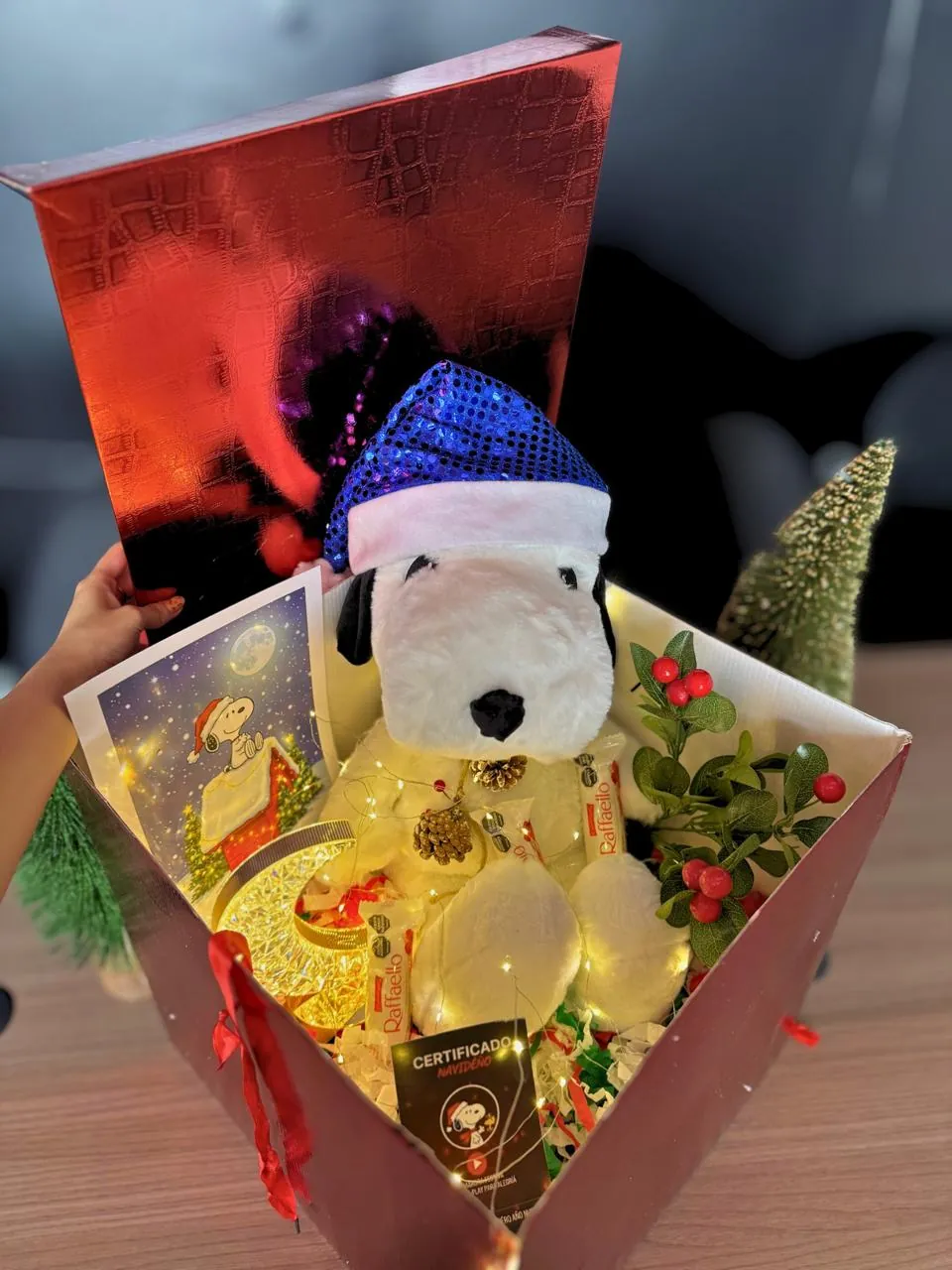 Caja Magica de Navidad Snoopy