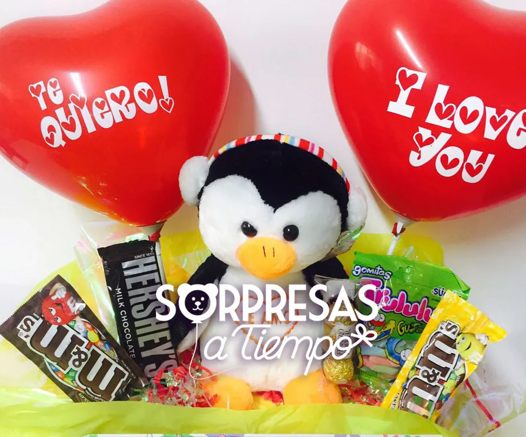 Ancheta Pingüino (A012)