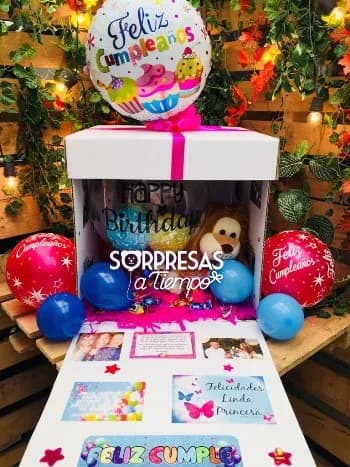 Surprise Birthday (C010)