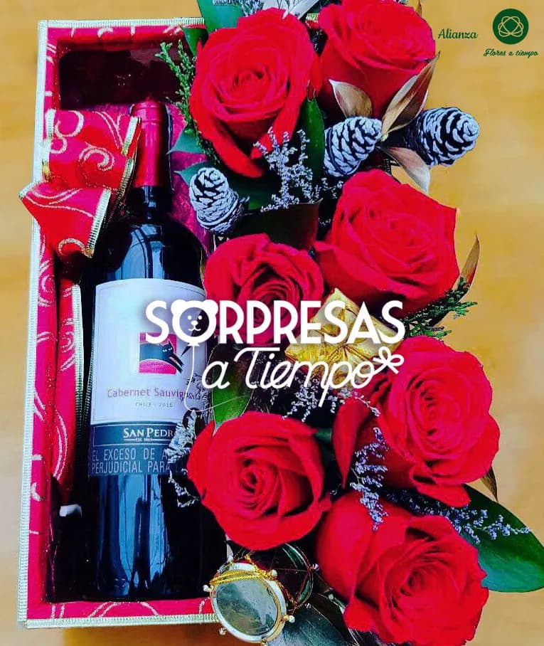 Caja de navidad (N025)