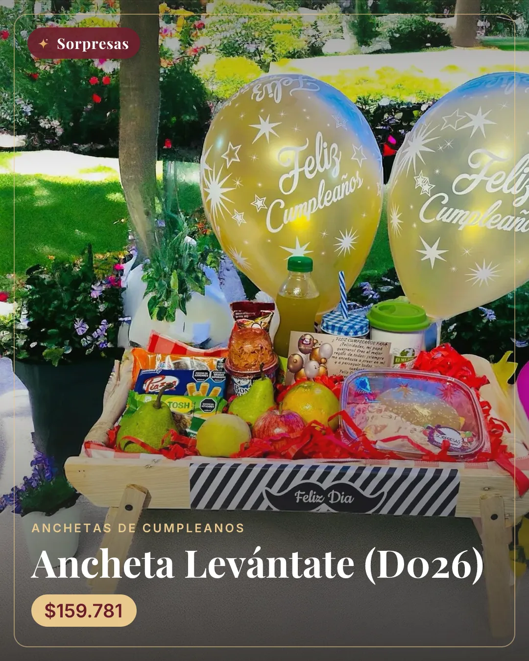 Ancheta Levántate (D026)