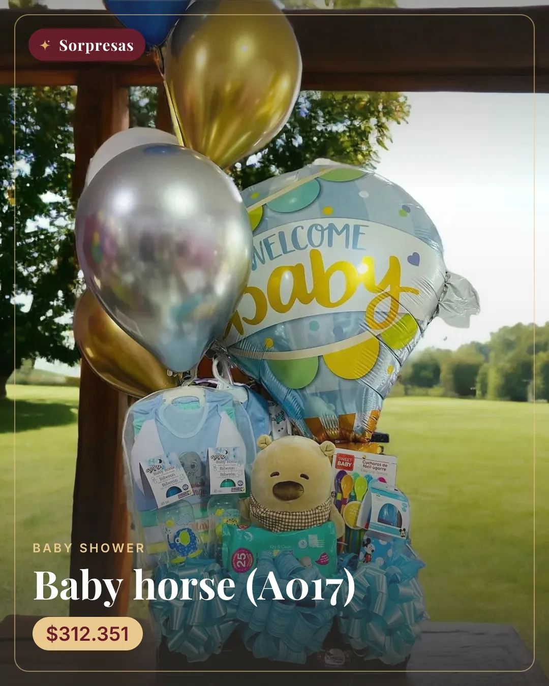 Baby horse (A017)