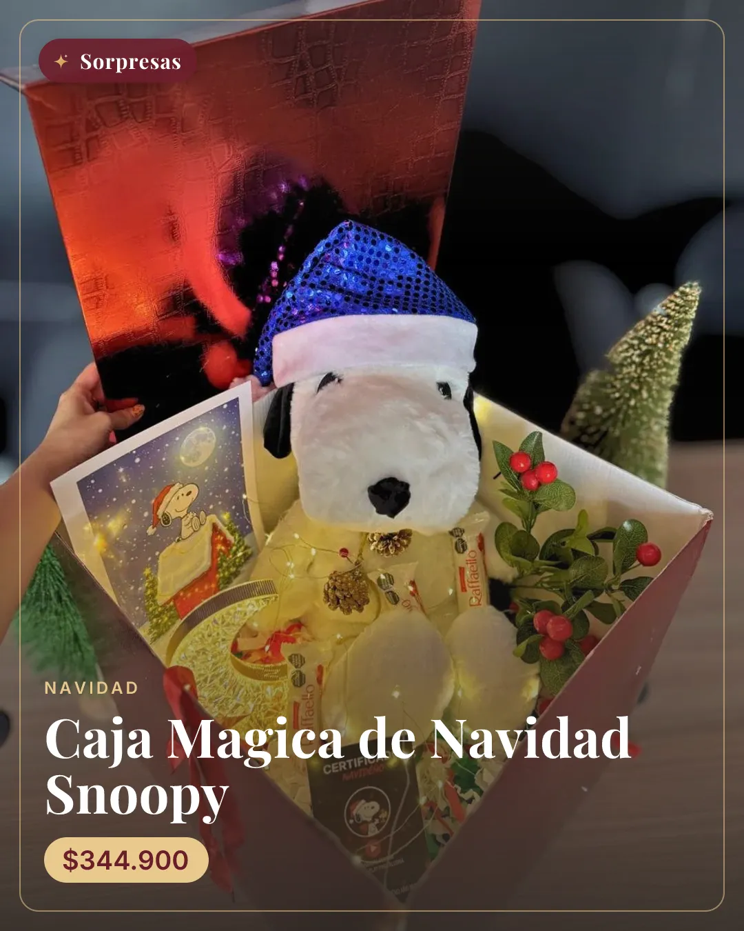 Caja Magica de Navidad Snoopy
