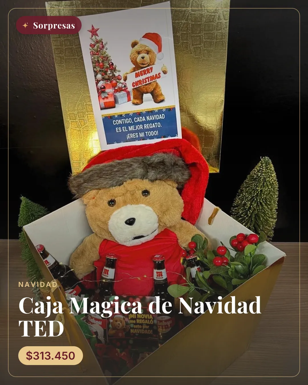 Caja Magica de Navidad TED