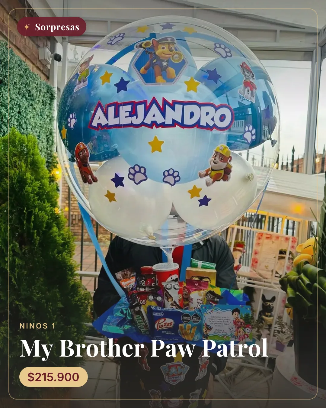 My Brother Paw Patrol